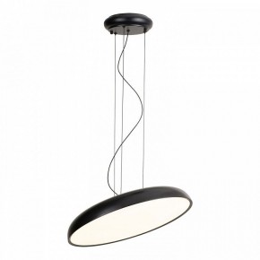 Подвесной светильник Lussole Crook LSP-7360 в Приобье - priobie.ok-mebel.com | фото 2