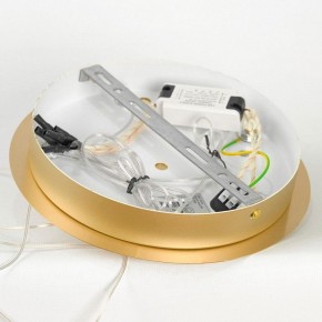 Подвесной светильник Lussole Hopkins LSP-7400 в Приобье - priobie.ok-mebel.com | фото 5