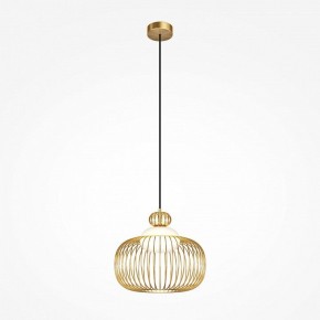 Подвесной светильник Maytoni Levitation MOD376PL-01G в Приобье - priobie.ok-mebel.com | фото 2