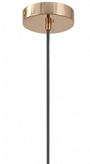 Подвесной светильник Moderli Charm V11176-1P в Приобье - priobie.ok-mebel.com | фото 8