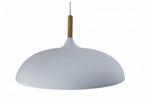 Подвесной светильник Moderli Hygo V11447-1P в Приобье - priobie.ok-mebel.com | фото