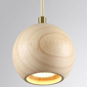 Подвесной светильник Odeon Light Caucho 7061/1 в Приобье - priobie.ok-mebel.com | фото 2