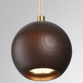 Подвесной светильник Odeon Light Caucho 7062/1 в Приобье - priobie.ok-mebel.com | фото