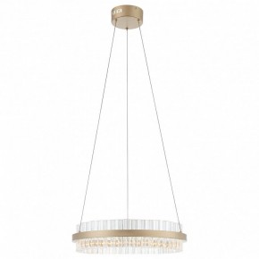 Подвесной светильник ST-Luce Cherio SL383.203.01 в Приобье - priobie.ok-mebel.com | фото 3