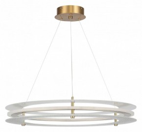 Подвесной светильник ST-Luce FAGY SL6245.203.01 в Приобье - priobie.ok-mebel.com | фото 3