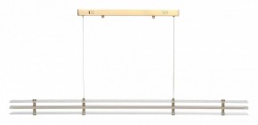 Подвесной светильник ST-Luce FAGY SL6245.223.01 в Приобье - priobie.ok-mebel.com | фото 3