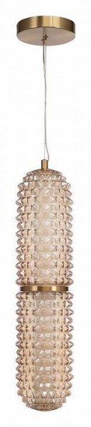 Подвесной светильник ST-Luce SAGUARO SL6144.303.01 в Приобье - priobie.ok-mebel.com | фото 3