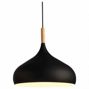 Подвесной светильник TopDecor Molto Molto S1 12 в Приобье - priobie.ok-mebel.com | фото