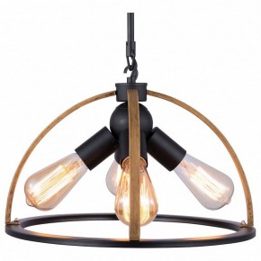 Подвесной светильник TopLight Jasmin TL1179H-04BK в Приобье - priobie.ok-mebel.com | фото