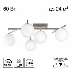 Потолочная люстра Citilux Dorsy CL223151 в Приобье - priobie.ok-mebel.com | фото 2