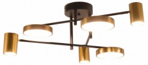 Потолочная люстра Kink Light Рапис 07645-6D,19(20) в Приобье - priobie.ok-mebel.com | фото