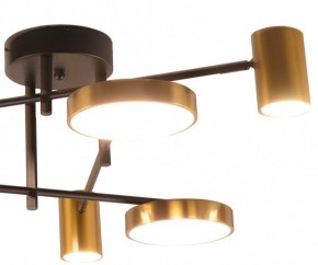 Потолочная люстра Kink Light Рапис 07645-6D,19(20) в Приобье - priobie.ok-mebel.com | фото 2