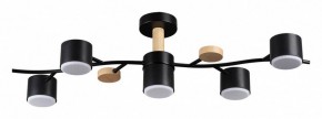 Потолочная люстра Lumion Crypto 8194/5C в Приобье - priobie.ok-mebel.com | фото