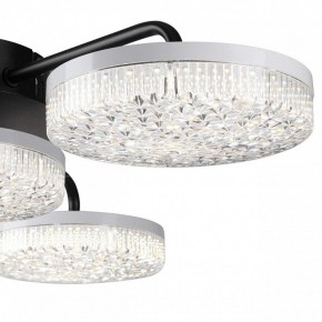 Потолочная люстра Lumion Didana 8236/4CL в Приобье - priobie.ok-mebel.com | фото 7