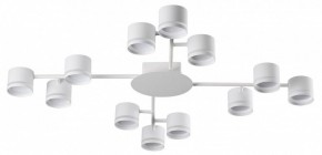 Потолочная люстра Lumion Gareta 8235/12C в Приобье - priobie.ok-mebel.com | фото