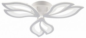 Потолочная люстра Natali Kovaltseva FORTUNA LED LAMPS 81107/2C в Приобье - priobie.ok-mebel.com | фото