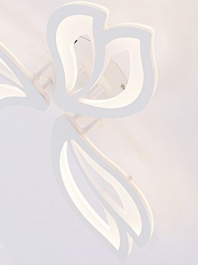 Потолочная люстра Natali Kovaltseva FORTUNA LED LAMPS 81107/2C в Приобье - priobie.ok-mebel.com | фото 11