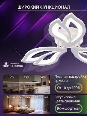 Потолочная люстра Natali Kovaltseva FORTUNA LED LAMPS 81107/2C в Приобье - priobie.ok-mebel.com | фото 5