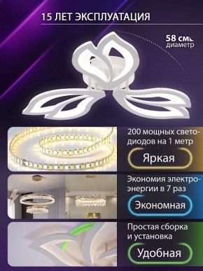 Потолочная люстра Natali Kovaltseva FORTUNA LED LAMPS 81107/2C в Приобье - priobie.ok-mebel.com | фото 6