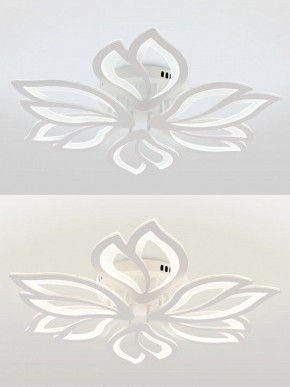 Потолочная люстра Natali Kovaltseva FORTUNA LED LAMPS 81107/6C в Приобье - priobie.ok-mebel.com | фото 4