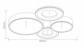 Потолочная люстра Rivoli Aliona Б0066451 в Приобье - priobie.ok-mebel.com | фото 11