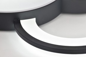 Потолочная люстра Rivoli Aliona Б0066452 в Приобье - priobie.ok-mebel.com | фото 10