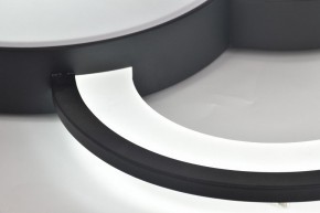 Потолочная люстра Rivoli Aliona Б0066452 в Приобье - priobie.ok-mebel.com | фото 12