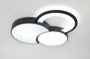 Потолочная люстра Rivoli Aliona Б0066452 в Приобье - priobie.ok-mebel.com | фото 8
