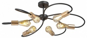 Потолочная люстра Vitaluce V3076 V3076-1/6PL в Приобье - priobie.ok-mebel.com | фото 3