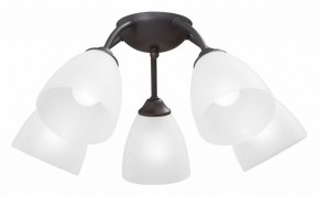 Потолочная люстра Vitaluce V3184 V3737-2/5PL в Приобье - priobie.ok-mebel.com | фото