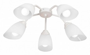 Потолочная люстра Vitaluce V31950 V31950/5PL в Приобье - priobie.ok-mebel.com | фото