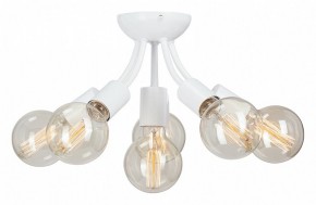 Потолочная люстра Vitaluce V3927 V3927-0/6PL в Приобье - priobie.ok-mebel.com | фото