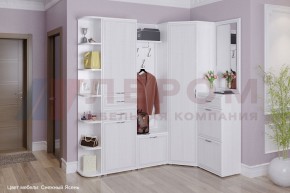 Прихожая Карина композиция 5 (Снежный ясень) в Приобье - priobie.ok-mebel.com | фото