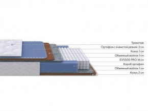 PROxSON Матрас Active Duo M/F (Ткань Трикотаж Эко) 120x200 в Приобье - priobie.ok-mebel.com | фото