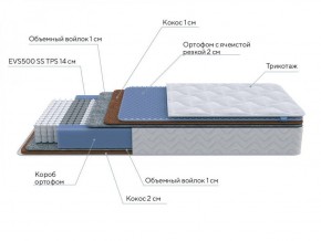 PROxSON Матрас Active Duo M/F (Ткань Трикотаж Эко) 120x190 в Приобье - priobie.ok-mebel.com | фото 6