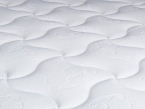 PROxSON Матрас Active Duo S/F (Ткань Трикотаж Эко) 120x190 в Приобье - priobie.ok-mebel.com | фото 10
