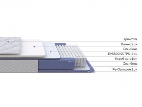 PROxSON Матрас Active Duo S/F (Ткань Трикотаж Эко) 120x200 в Приобье - priobie.ok-mebel.com | фото 2