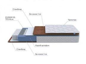 PROxSON Матрас Active F (Ткань Трикотаж Эко) 120x190 в Приобье - priobie.ok-mebel.com | фото 7