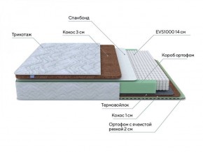 PROxSON Матрас Green Duo M/F (Tricotage Dream) 120x190 в Приобье - priobie.ok-mebel.com | фото 7