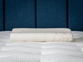 PROxSON Подушка Кроха (Ткань Трикотаж) 39x24 в Приобье - priobie.ok-mebel.com | фото 6
