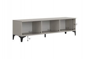 РИЧ Тумба 2 в Приобье - priobie.ok-mebel.com | фото 3