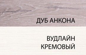 Шкаф 2DG, OLIVIA, цвет вудлайн крем/дуб анкона в Приобье - priobie.ok-mebel.com | фото 3