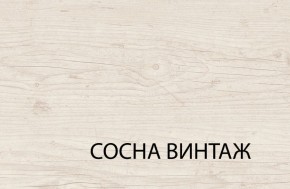 Шкаф 2DG2S, MAGELLAN, цвет Сосна винтаж в Приобье - priobie.ok-mebel.com | фото 5