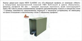 Шкаф-купе 1700 серии NEW CLASSIC K3+K3+B2+PL1 (2 ящика+1 штанга) профиль «Капучино» в Приобье - priobie.ok-mebel.com | фото 5