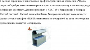 Шкаф-купе 2250 серии SILVER S3+S1+S3Z B22+PL2 (по 2 ящика лев/прав+1штанга+1 полка) профиль «Серебро» в Приобье - priobie.ok-mebel.com | фото 4