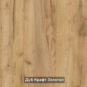 Шкаф купе без зеркала "Ольга-Лофт 10.1" в Приобье - priobie.ok-mebel.com | фото 5