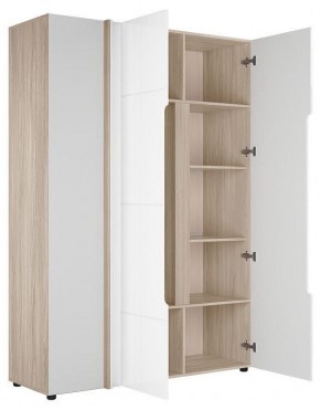 Шкаф платяной Данк в Приобье - priobie.ok-mebel.com | фото 2