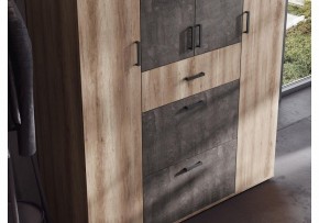 Шкаф платяной Паркинс в Приобье - priobie.ok-mebel.com | фото 3