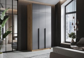 Шкаф платяной Широн в Приобье - priobie.ok-mebel.com | фото 4