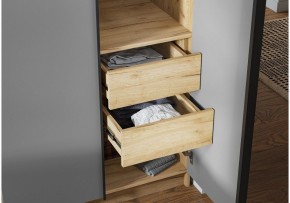 Шкаф платяной Широн в Приобье - priobie.ok-mebel.com | фото 3